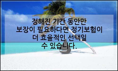 오늘의 이미지