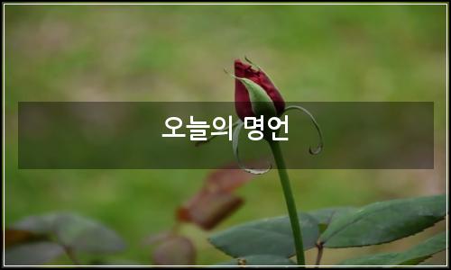 오늘의 이미지