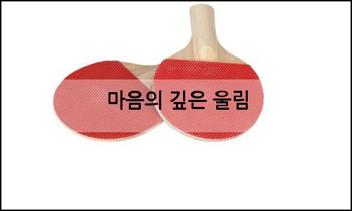 오늘의 이미지