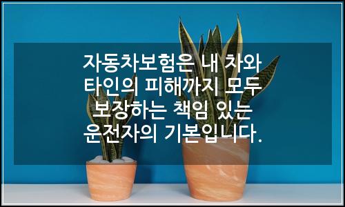 오늘의 이미지