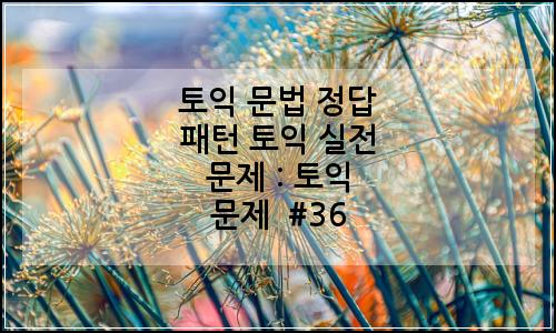 오늘의 이미지