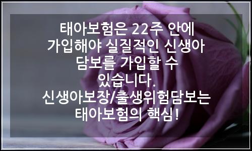 오늘의 이미지