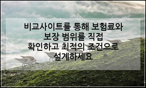 오늘의 이미지