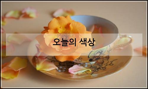 오늘의 이미지