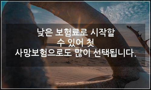 오늘의 이미지