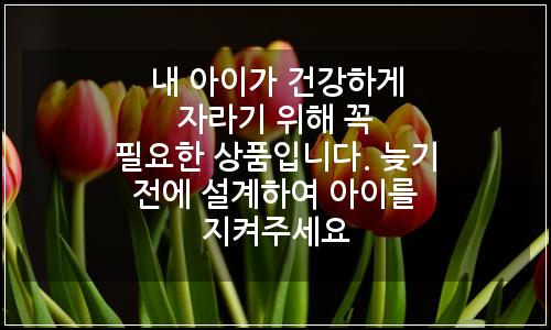 오늘의 이미지