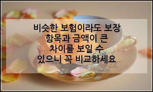 오늘의 이미지
