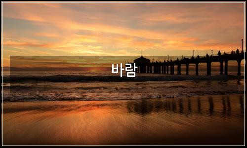 오늘의 이미지