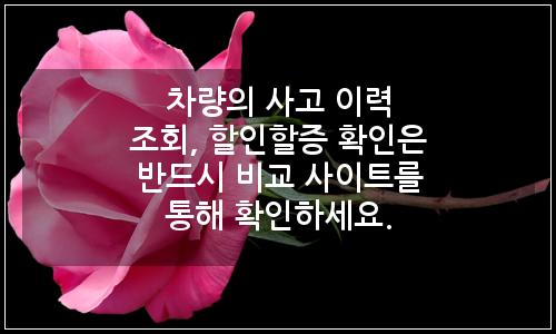 오늘의 이미지