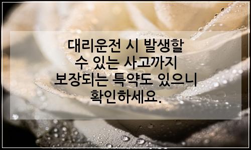 오늘의 이미지