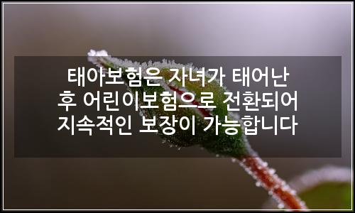오늘의 이미지