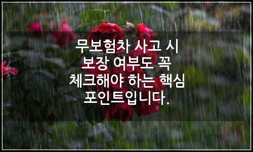 오늘의 이미지