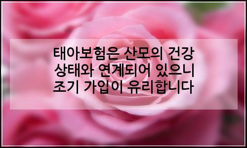 오늘의 이미지