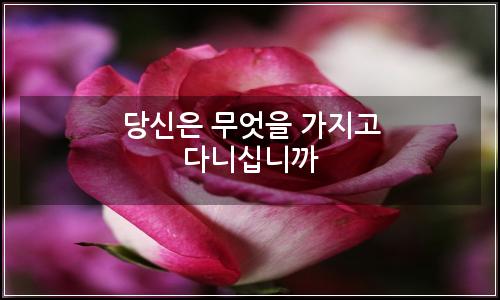 오늘의 이미지