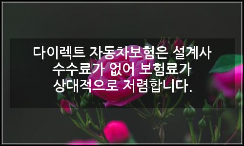 오늘의 이미지