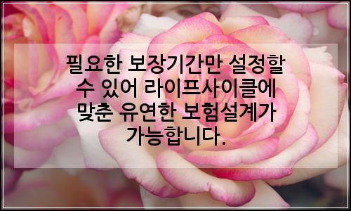 오늘의 이미지