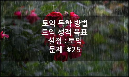 오늘의 이미지