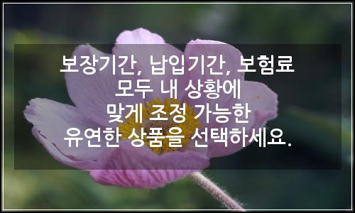 오늘의 이미지