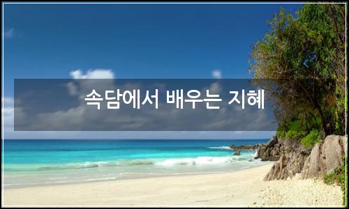 오늘의 이미지