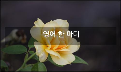 오늘의 이미지