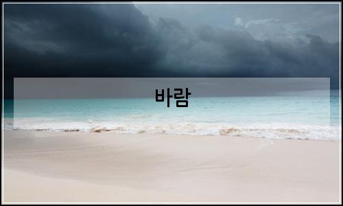 오늘의 이미지