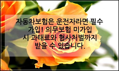 오늘의 이미지