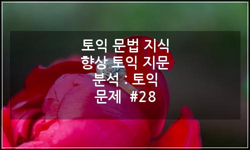 오늘의 이미지