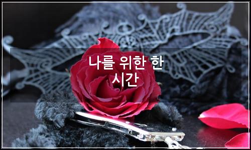 오늘의 이미지