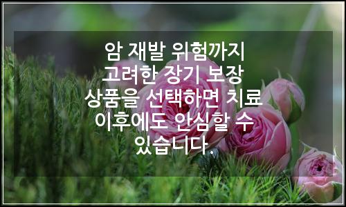 오늘의 이미지