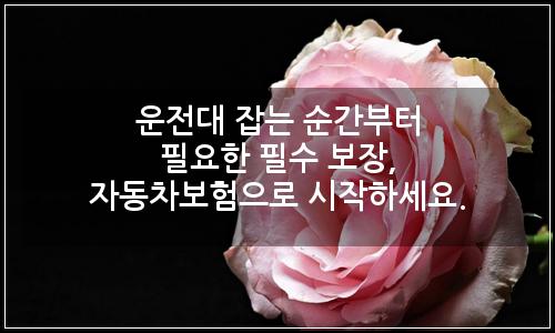 오늘의 이미지