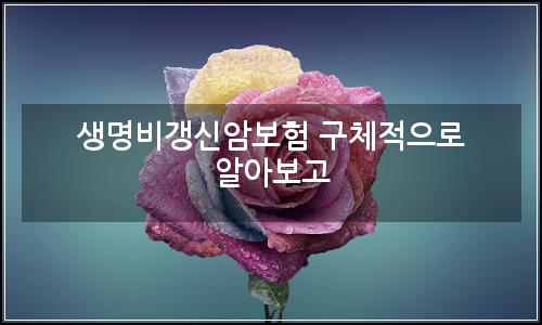 오늘의 이미지
