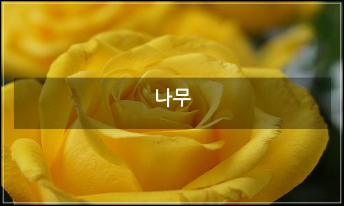 오늘의 이미지