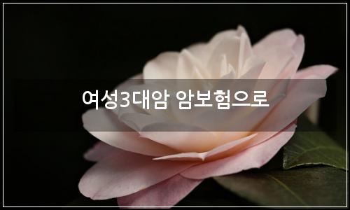 오늘의 이미지