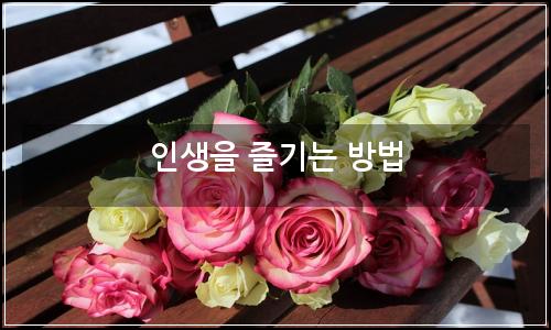 오늘의 이미지