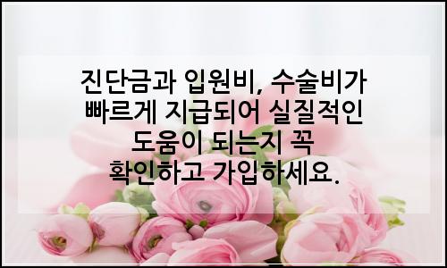 오늘의 이미지