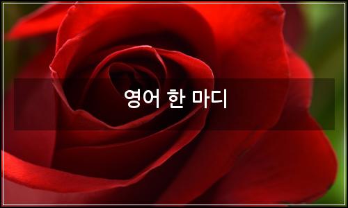 오늘의 이미지