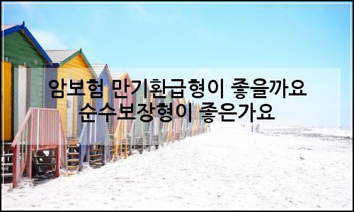 오늘의 이미지
