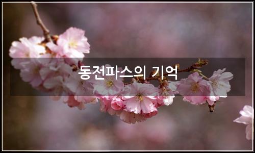 오늘의 이미지