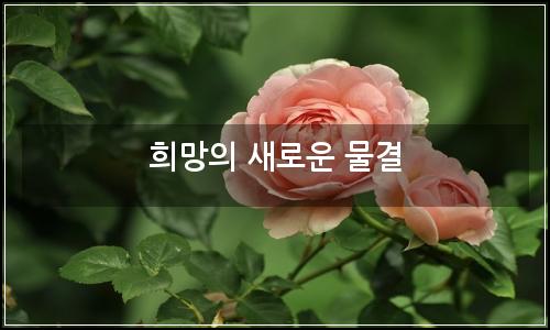오늘의 이미지