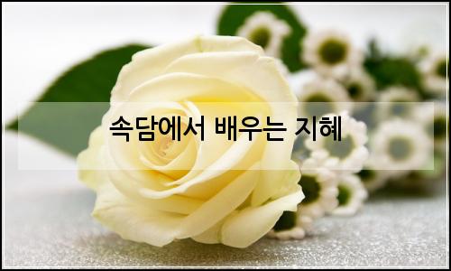 오늘의 이미지