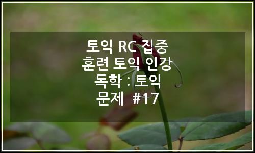 오늘의 이미지