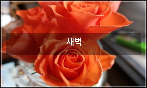 오늘의 이미지