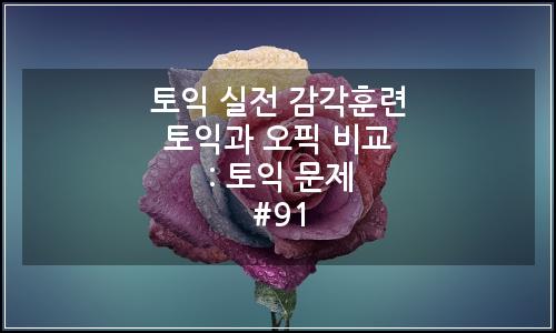 오늘의 이미지
