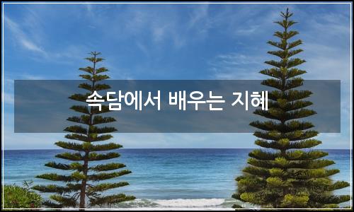 오늘의 이미지