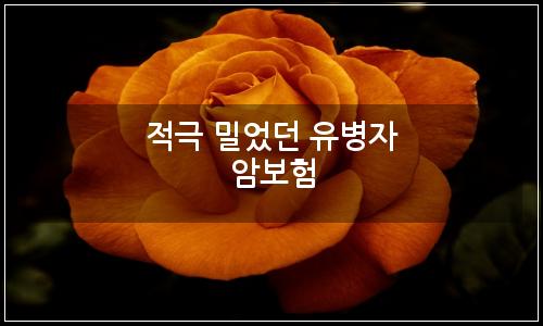 오늘의 이미지