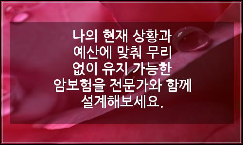 오늘의 이미지