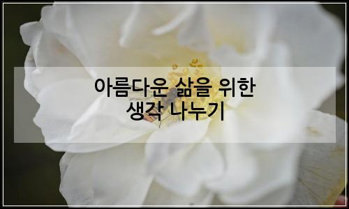 오늘의 이미지