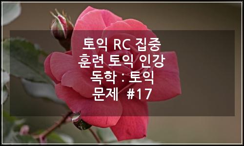 오늘의 이미지