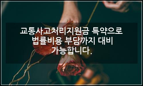 오늘의 이미지
