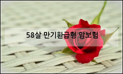 오늘의 이미지